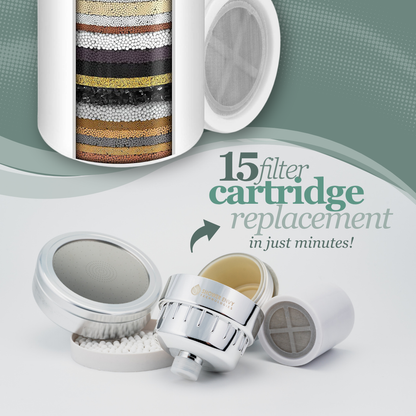 5.0 Filter Replacement
